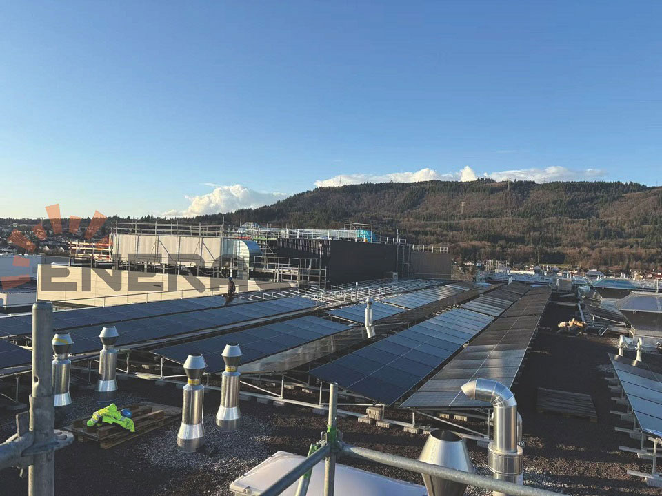 Green roof mounting system