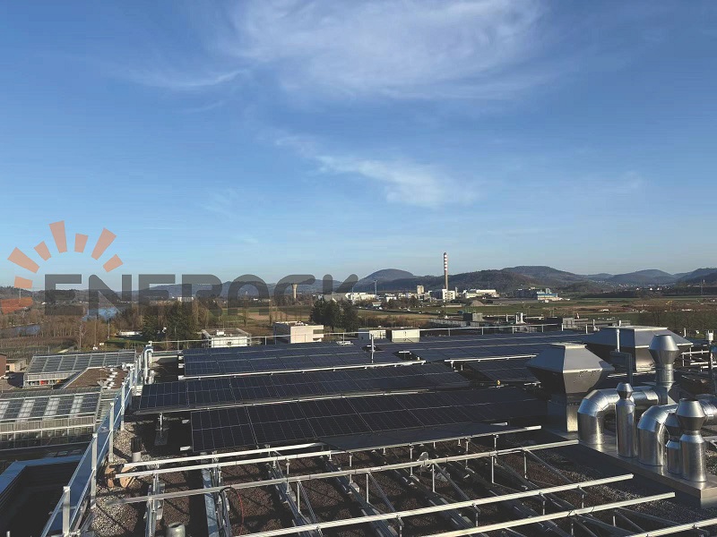 Green roof mounting system