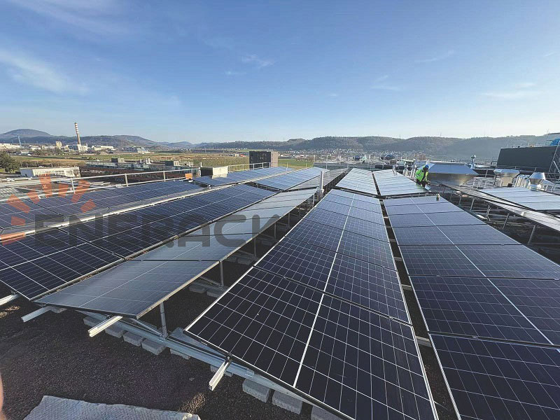 Green roof mounting system